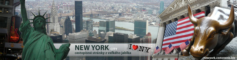 NEW YORK city cestopis - home page